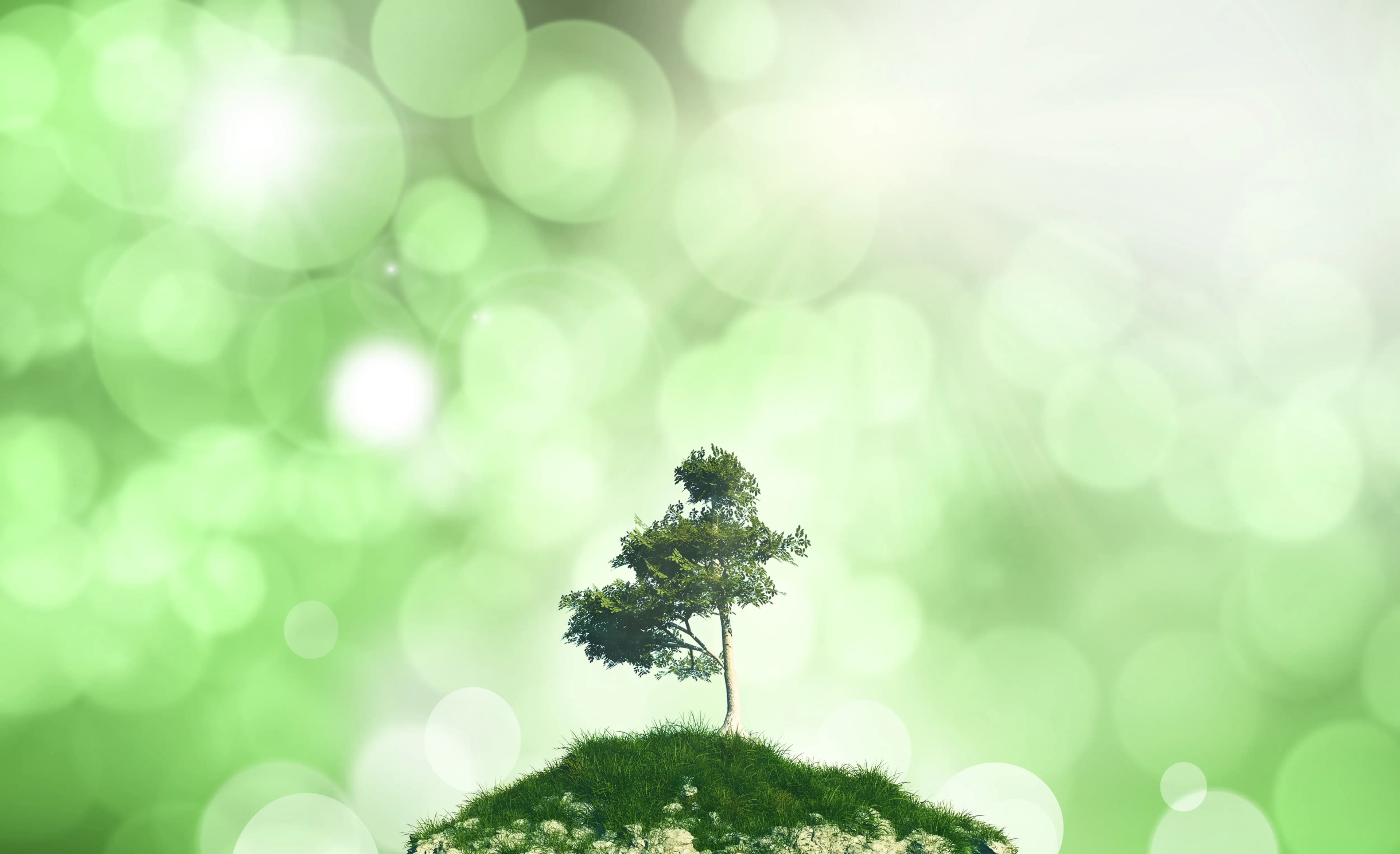 Test Article